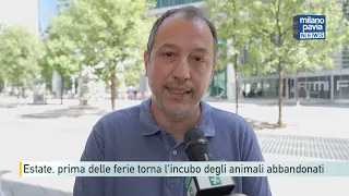 Estate, prima delle ferie torna l'incubo degli animali abbandonati