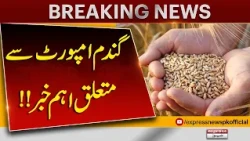 Flour Crisis in Punjab! Maryam Nawaz Calls Key Meeting | Major News on Wheat Imports