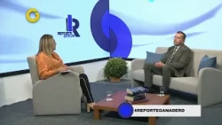 GV Stellar Report | Interview with José Agustín Campos (1/3)