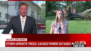Storm uproots trees, causes power outages