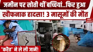 Gadchiroli Snake Bite Case: हॉस्टल में घुसा जहरीला सांप, डसने से 3 छात्राओं की मौत, 1 की हालत नाजुक