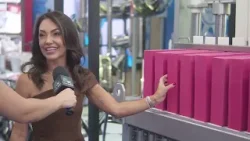 Novas tecnologias e soluções para as cadeias de suínos e aves são destaques na Mercoagro 2026