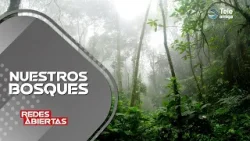 ¿Estamos cuidando NUESTROS BOSQUES y que aporte estamos haciendo para su preservación?