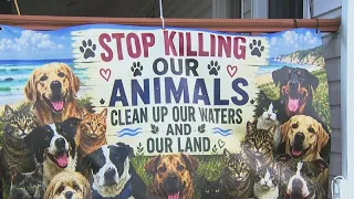 Cancer cluster affecting two NJ towns now include pets