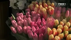 8 березня у Рівному: скільки коштують квіти та що думають містяни