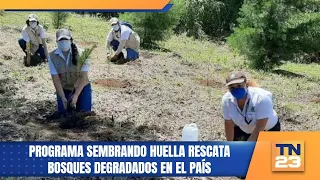 Sembrando Huella program rescues degraded forests in the country