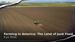 Farming in America: The Land of Junk Food | Storyteller | Full Film