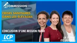 Crises sanitaires dans les élevages : conclusions d'une mission flash | La séance est ouverte ! Crises sanitaires dans les élevages : conclusions d'une mission flash | La séance est ouverte !