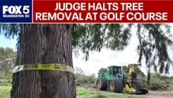 Federal judge halts tree removal at East Potomac Golf Links