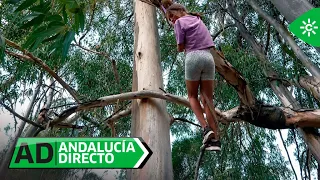 Andalucía Directo | Phone-free vacation