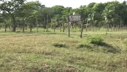 Fraude en la compra y venta de propiedades