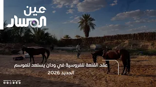 Al-Qala’a Equestrian Club in Waddan Prepares for the 2026 Season
