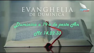 SUNDAY GOSPEL - 19th Sunday in Ordinary Time