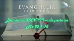 SUNDAY GOSPEL - XXVIII Sunday of Ordinary Time