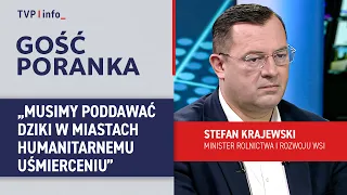 Stefan Krajewski: we must humanely cull wild boars in cities | MORNING GUEST