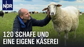 Käserei-Chef und Schäfer auf der Halbinsel Eiderstedt | Unerwäis | NDR Doku