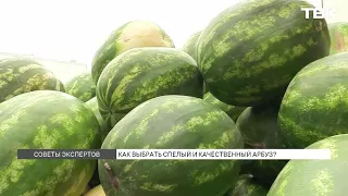 How are watermelons and melons imported into Krasnoyarsk checked?