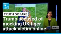 Trump sparks outrage over AI tiger video after sharing footage of fatal UK attack • FRANCE 24