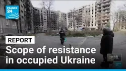 Scope of Ukrainian resistance in occupied territories revealed in new report • FRANCE 24 English