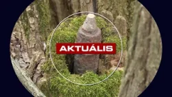 Gránátot találtak a túrázók Nagyréde mellett - Aktuális 2026.03.23