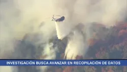 Investigación busca avanzar en prevención de incendios forestales
