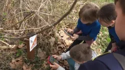 Vetélkedő a városligetben