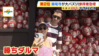 Over 100 Countries! Osaka Minoh's "Katsuoji Temple" Goes Viral Among International Tourists! Surg...