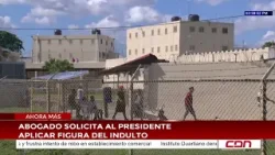 Abogado solicita al presidente aplicar figura del indulto Abogado solicita al presidente aplicar figura del indulto