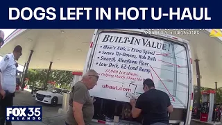 Dogs found in U-Haul truck cargo area in 102-degree heat: Deputies