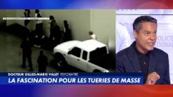 Dr Gilles-Marie Valet : «S'exercer à la violence facilite le passage à l’acte»