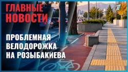 Алматинцы раскритиковали велодорожку на улице Розыбакиева - на маршруте растут деревья