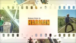 01/04/2026 HARMAN - AYBASTI