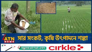যশোরে সার সংকট, কৃষি উৎপাদনে শঙ্কা | Fertilizer Crisis | Jashore | ATN News