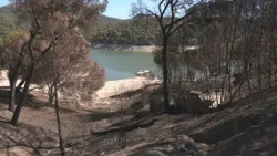 The scars of Virgen de la Nueva beach three months after the fire