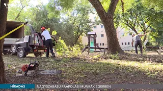 Nagyszabású faápolási munkák Egerben - 2026.09.17.