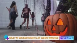 Spooky spots in Tampa Bay