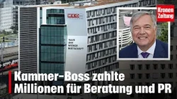 Chamber boss paid millions for consulting and PR | krone.tv NEWS