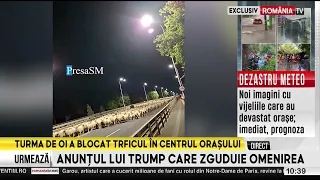 The flock of sheep that blocked the center of Bucharest