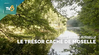 Petite-Rosselle : À la découverte de la vallée du Schafbach