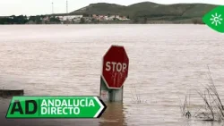 Andalucía Directo | Viernes 6 de febrero