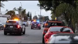 Implementation of State Law to Combat Sex Trafficking