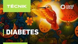 Técnik - Diabetes (14/01/2026)