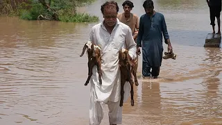 Rescue teams evacuate flooded villages in Sheikhupura, Pakistan