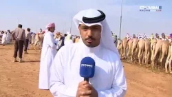 الأصايل | مهرجان صاحب السمو الشيخ محمد بن زايد آل نهيان للهجن - اليوم الثالث