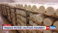 Prima ROK: Tradice potěší chuťové pohárky (Mlékárna Otinoves)