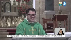 Homily |  25 October 2026