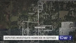 The Hillsborough County Sheriff's Office is investigating a homicide in Seffner The Hillsborough County Sheriff's Office is investigating a homicide in Seffner