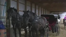 Kevin O'Neill horses around in Warsaw on Daybreak