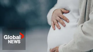 Court finds women denied EI after maternity leave had Charter rights violated