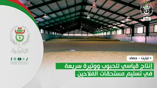 Tiaret: Record-Breaking Grain Harvest and Rapid Payment Processing for Farmers